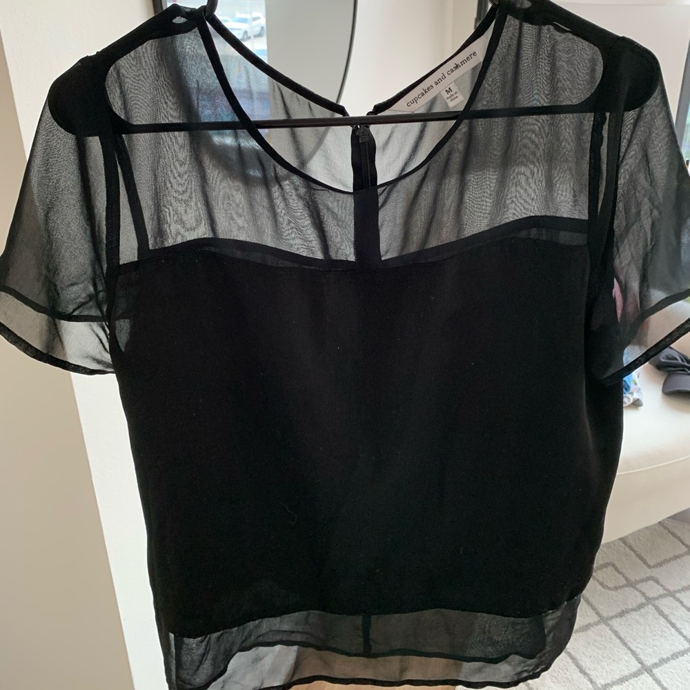 Cupcakes & Cashmere Black Mesh and Silk Top